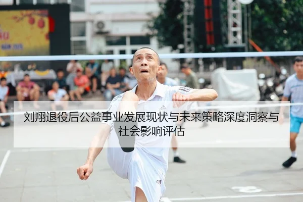 刘翔退役后公益事业发展现状与未来策略深度洞察与社会影响评估